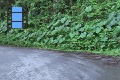 Scene 10_Cloud Forest Corner facing Cliffs with Thick vegetation